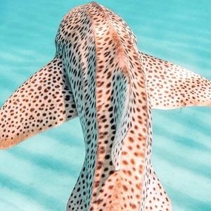 Meet your Posher, Lily